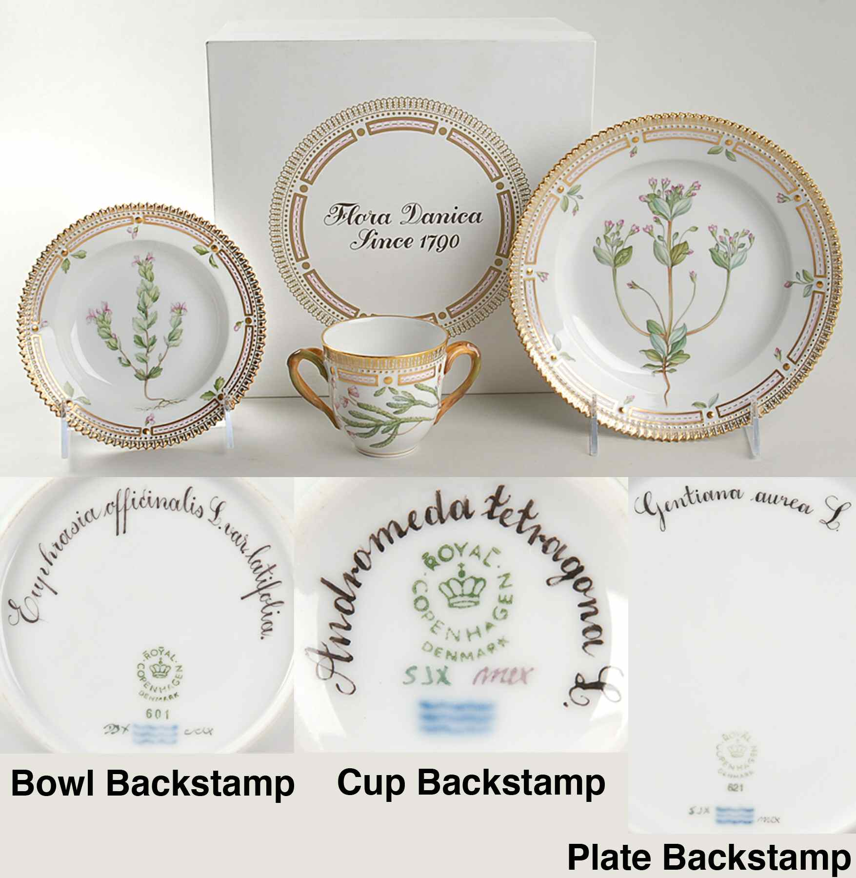 Flora Danica (1961 To Current) (3 Piece) Girl Child's Set & Box by Royal Copenhagen-1