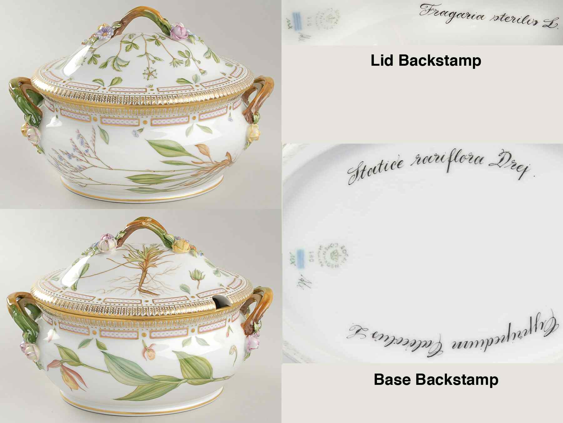 Flora Danica (1961 To Current) 3Qt Oval Tureen & Lid-Statice Rari, Cyprip C,Fraga by Royal Copenhagen-1