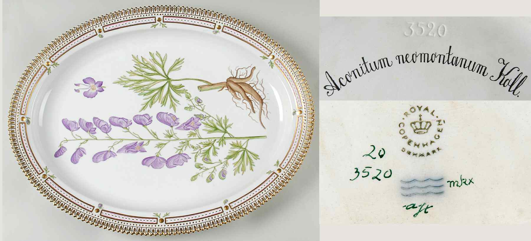 Flora Danica (1961 To Current) 18" Oval Serving Platter-Aconitum neomontanum Koll by Royal Copenhagen-1