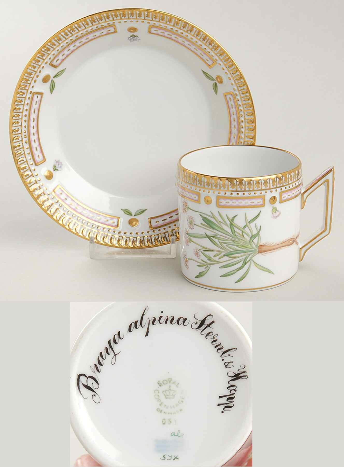 Flora Danica (1961 To Current) Chocolate Cup & Smooth Saucer-Braya alpina Sternb by Royal Copenhagen-1