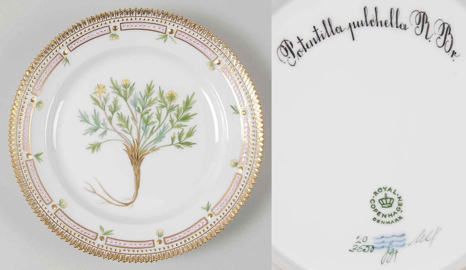 Flora Danica (1961 To Current) Luncheon Plate-Potentilla pulchella R Br by Royal Copenhagen-1