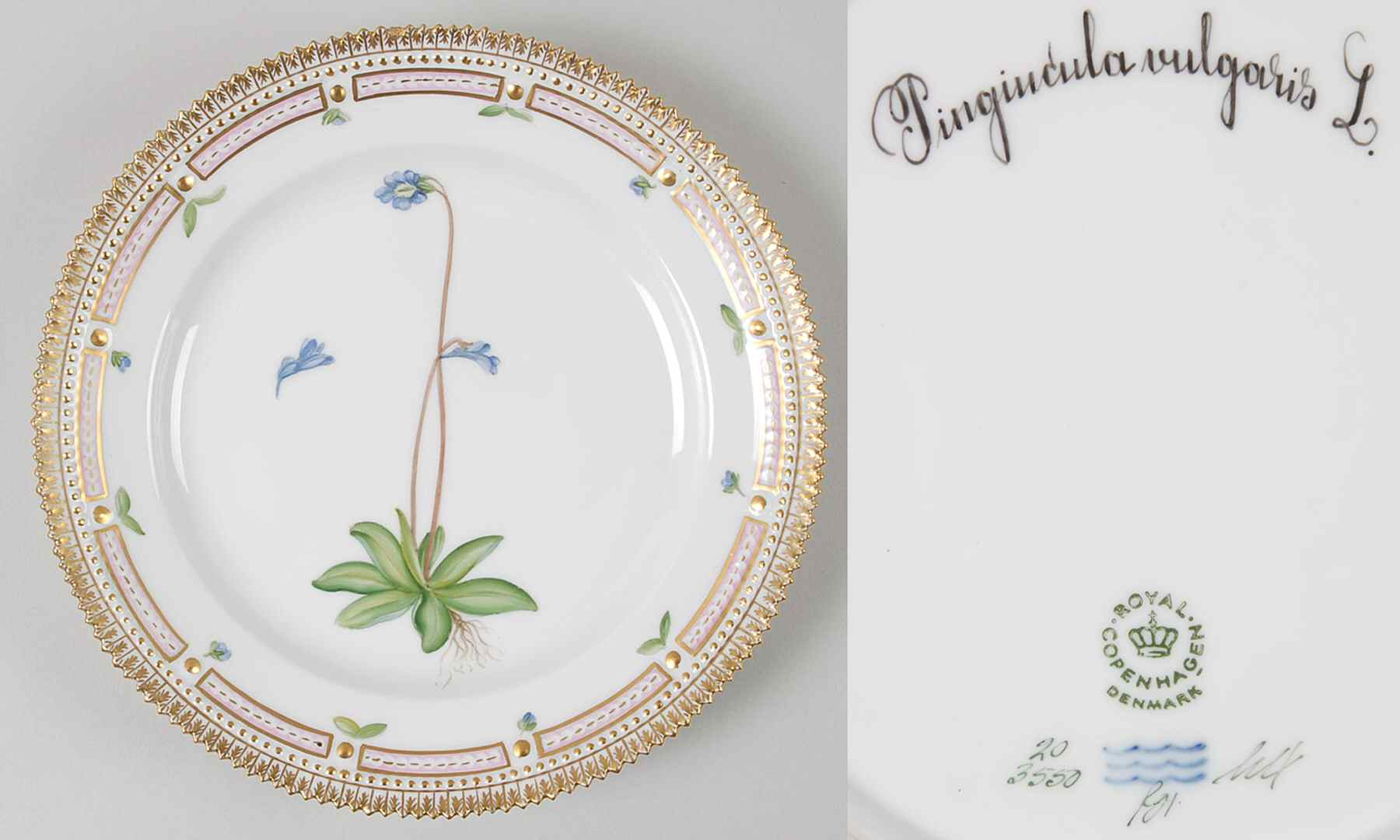 Flora Danica (1961 To Current) Luncheon Plate-Pingiucula vulgaris L by Royal Copenhagen-1