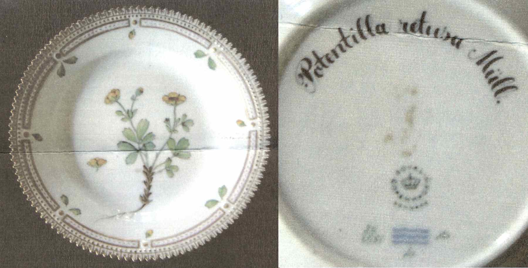 Flora Danica (1961 To Current) Dessert/Pie Plate-Potentilla retusa Miill by Royal Copenhagen-1