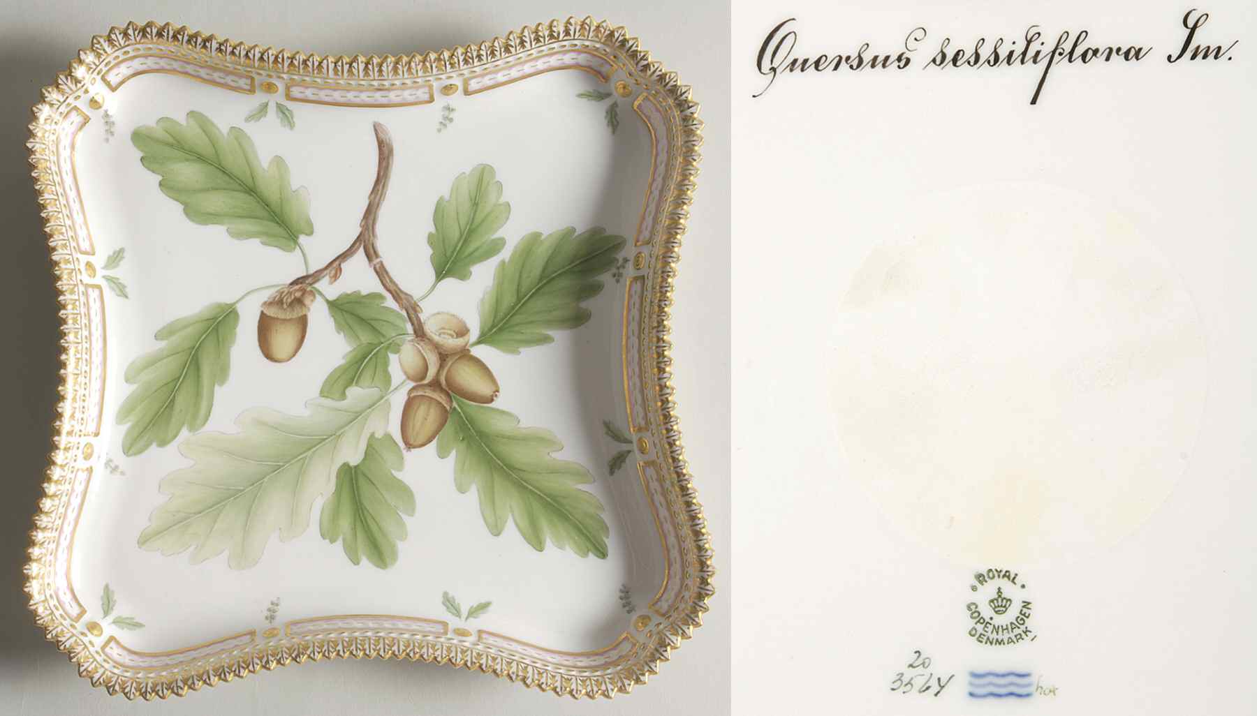 Flora Danica (1961 To Current) 9" Square Tray-Quercus sessilifloris Sm by Royal Copenhagen-1