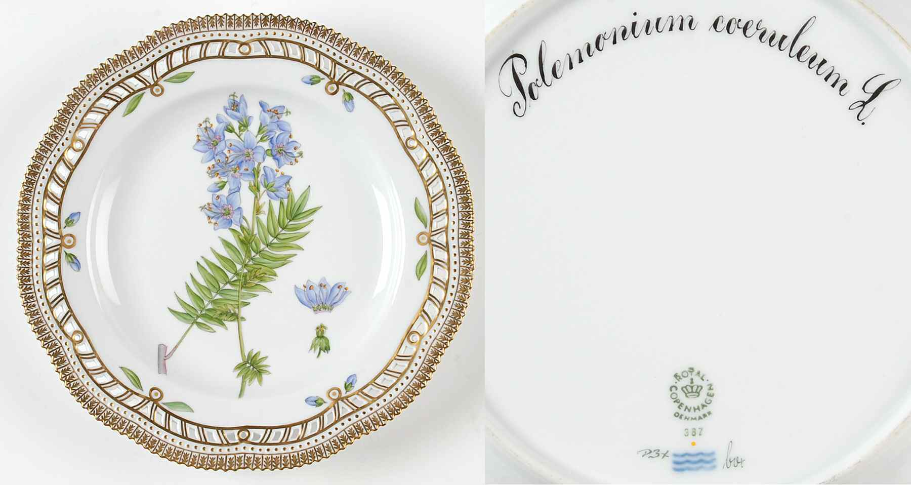 Flora Danica (1961 To Current) 10" Pierced Dinner Plate/Fruit Std-Polemonium co by Royal Copenhagen-1
