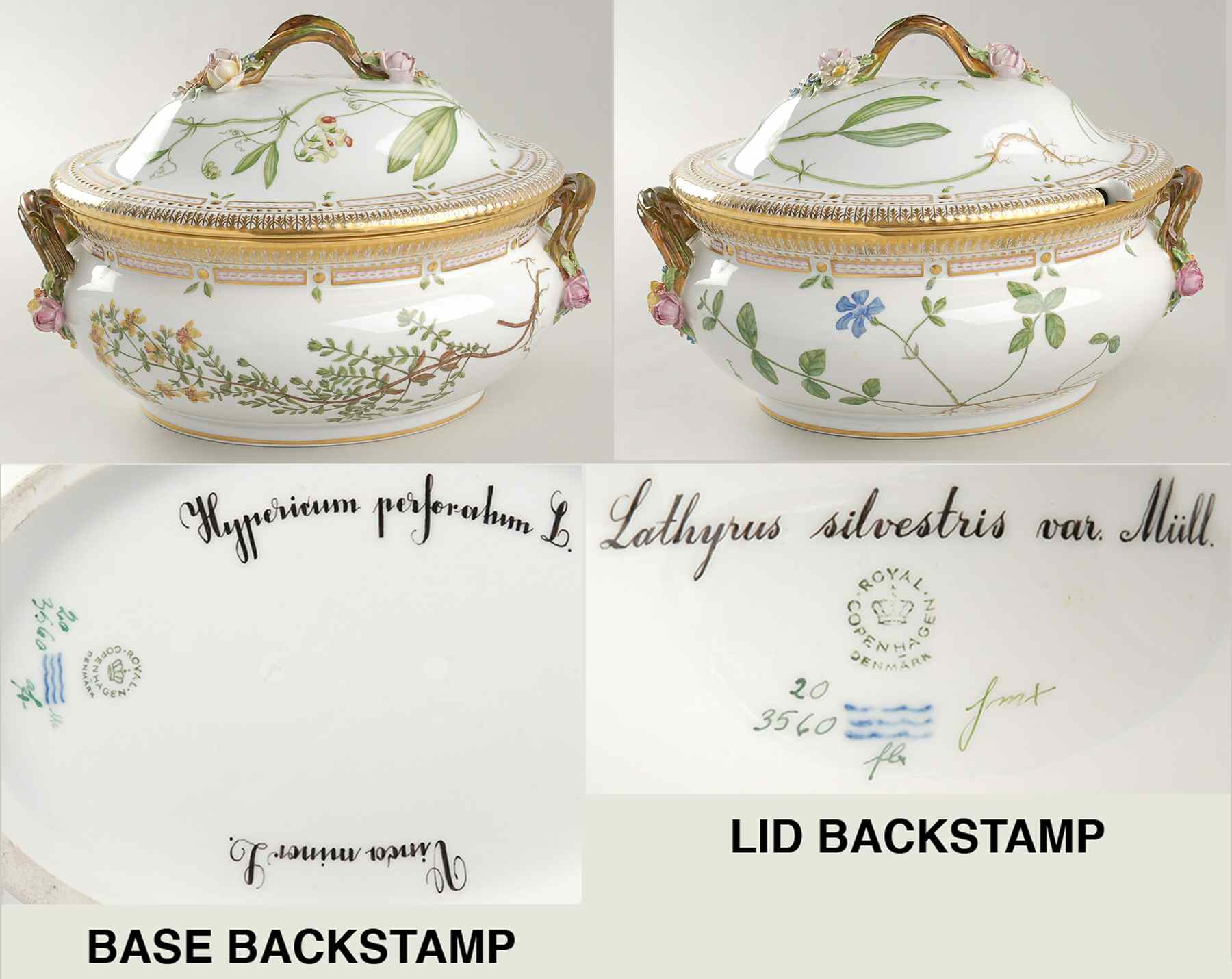 Flora Danica (1961 To Current) 5Qt Oval Tureen & Lid-Hyper Vinco, Lathyrus silves by Royal Copenhagen-1