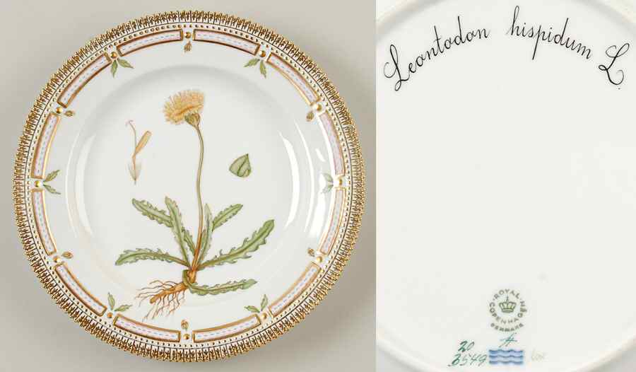 Flora Danica (1961 To Current) Dinner Plate-Leontodon hispidum L by Royal Copenhagen-1