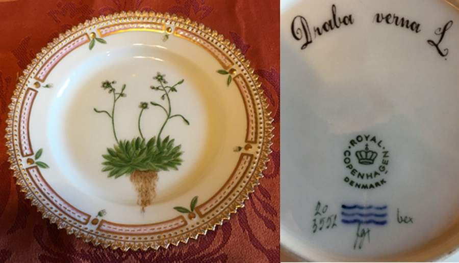 Flora Danica (1961 To Current) Bread & Butter Plate-Draba verna L. by Royal Copenhagen-1