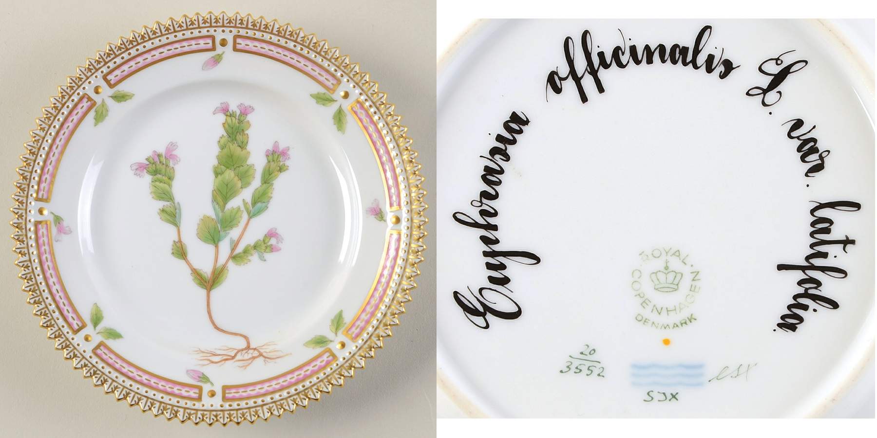 Flora Danica (1961 To Current) Bread & Butter Plate-Euphrasia officinalis L var l by Royal Copenhagen-1