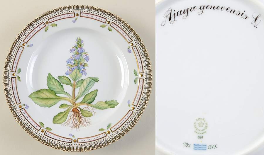 Flora Danica (1961 To Current) Dinner Plate-Ajuga genevensis L. by Royal Copenhagen-1