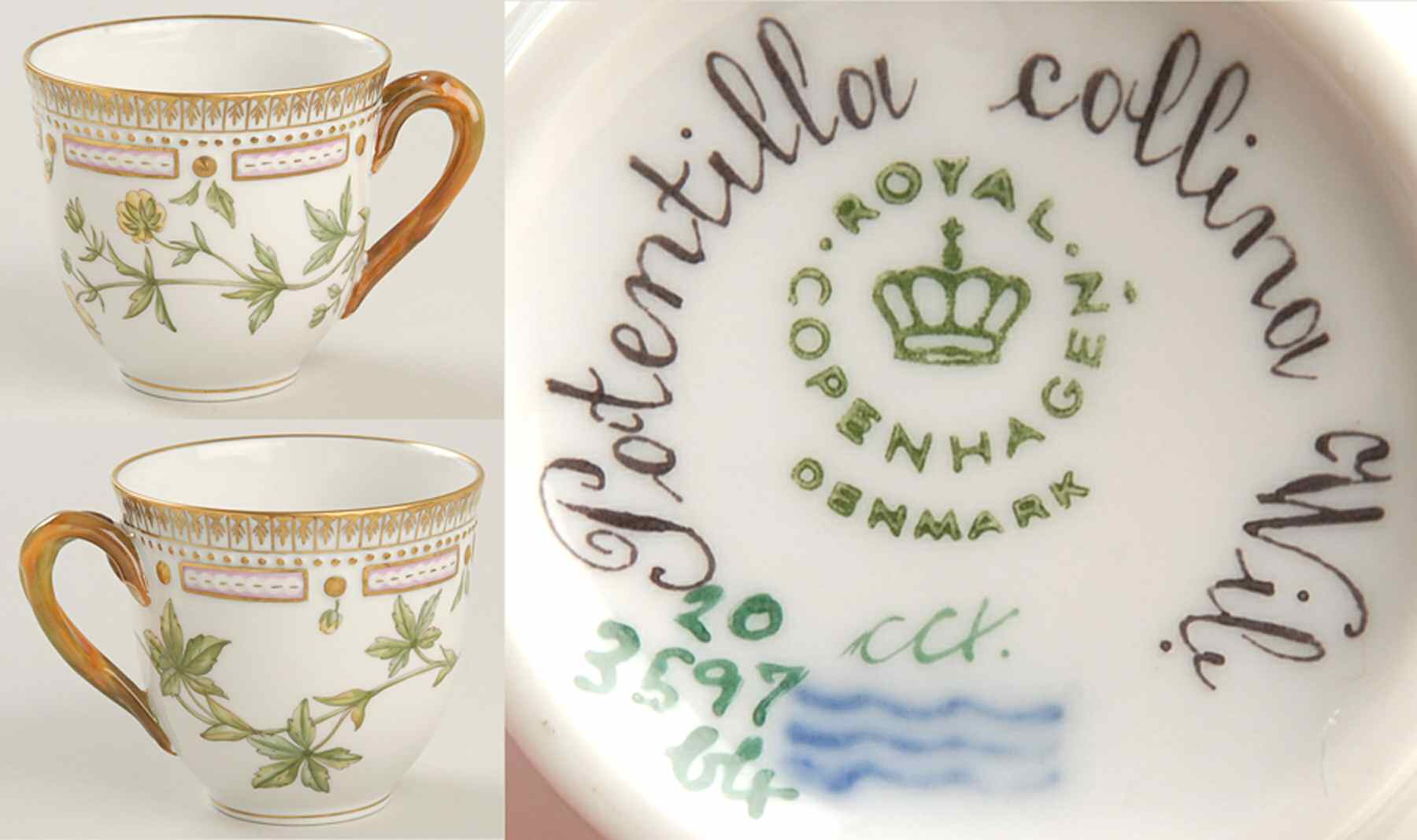 Flora Danica (1961 To Current) Flat Cup-Potentilla collina Wile by Royal Copenhagen-1