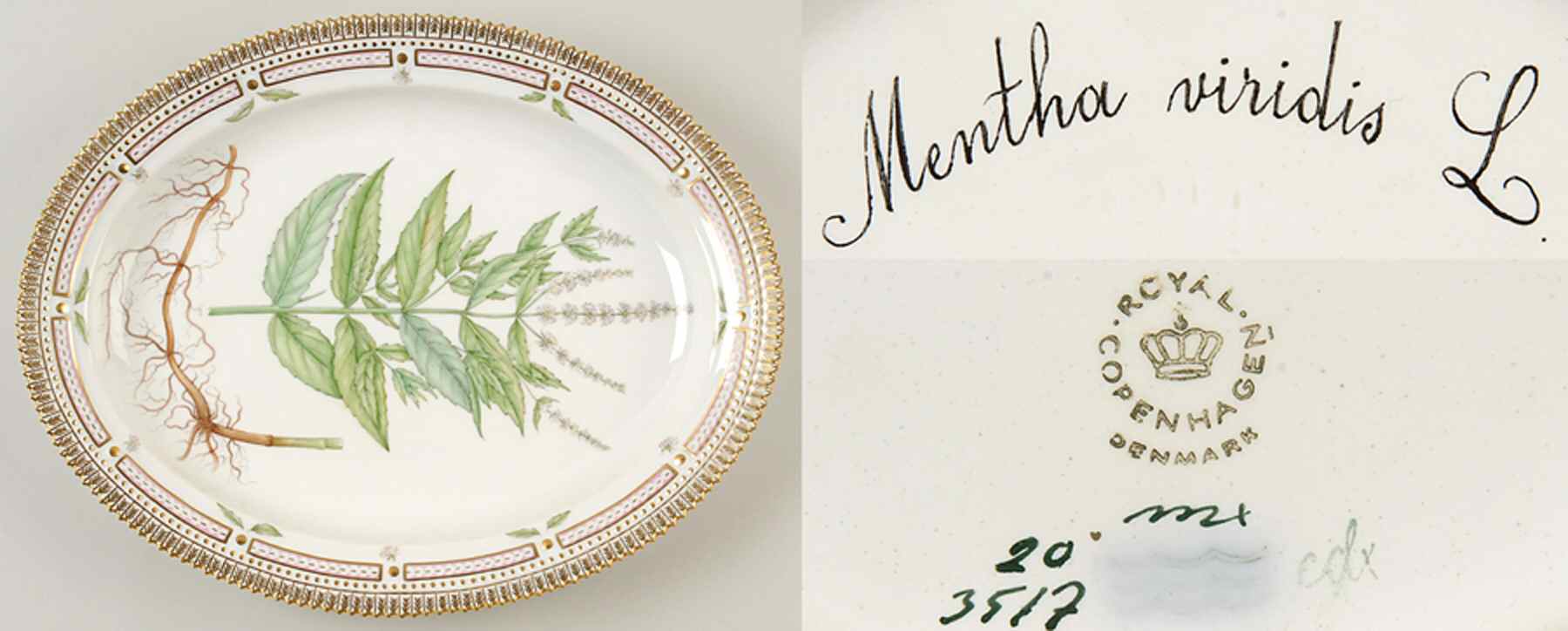 Flora Danica (1961 To Current) 14" Oval Serving Platter-Mentha viridis L. by Royal Copenhagen-1