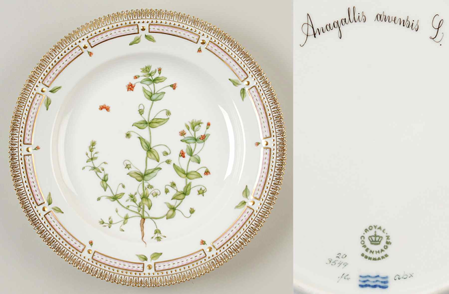 Flora Danica (1961 To Current) Dinner Plate-Anagallis arvensis L. by Royal Copenhagen-1