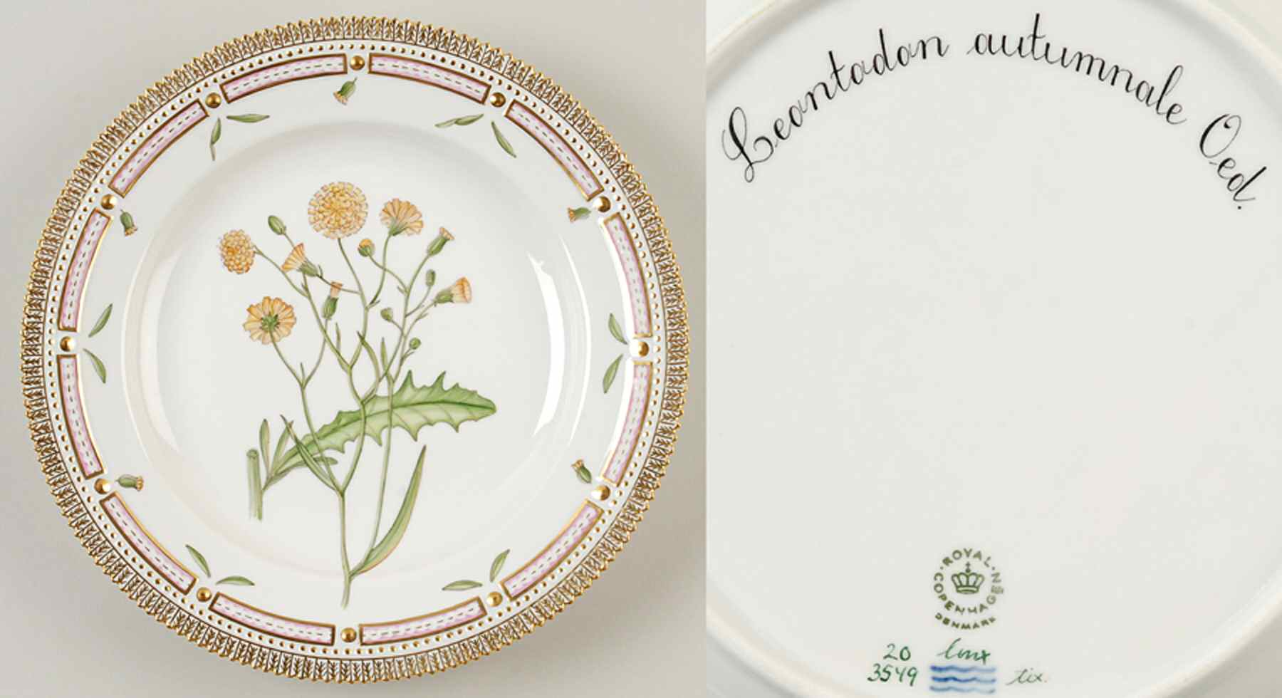 Flora Danica (1961 To Current) Dinner Plate-Leontodon autumnale Oed by Royal Copenhagen-1