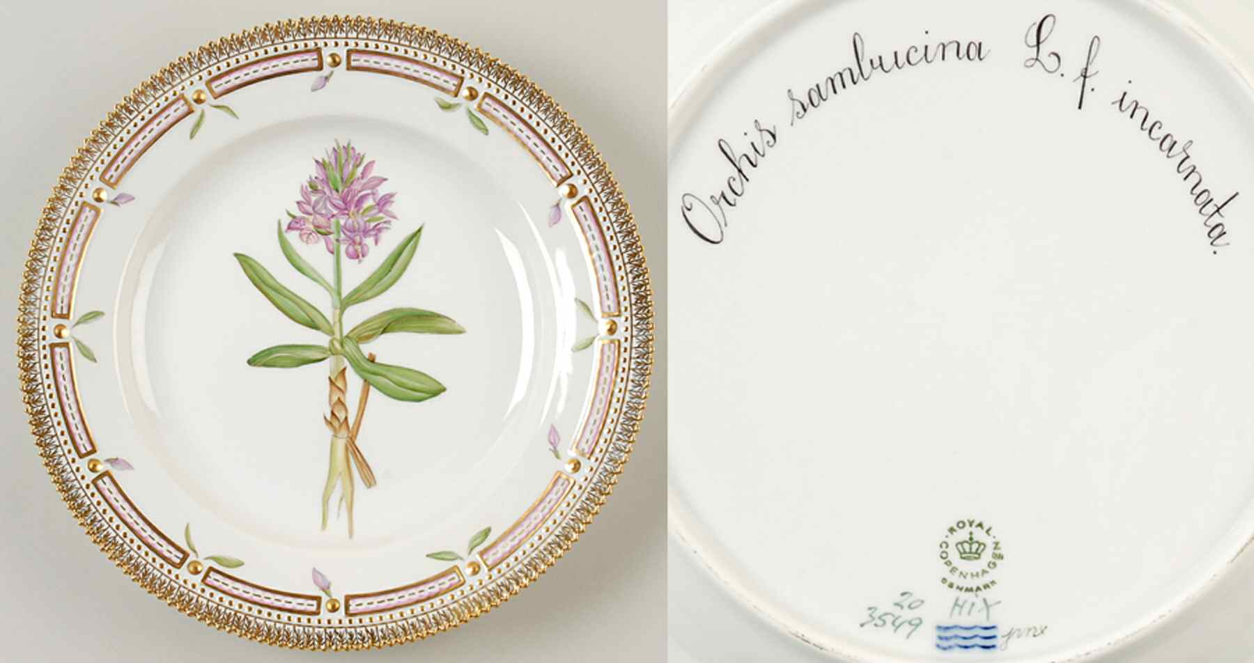 Flora Danica (1961 To Current) Dinner Plate-Orchis sambucina L f incarnata by Royal Copenhagen-1