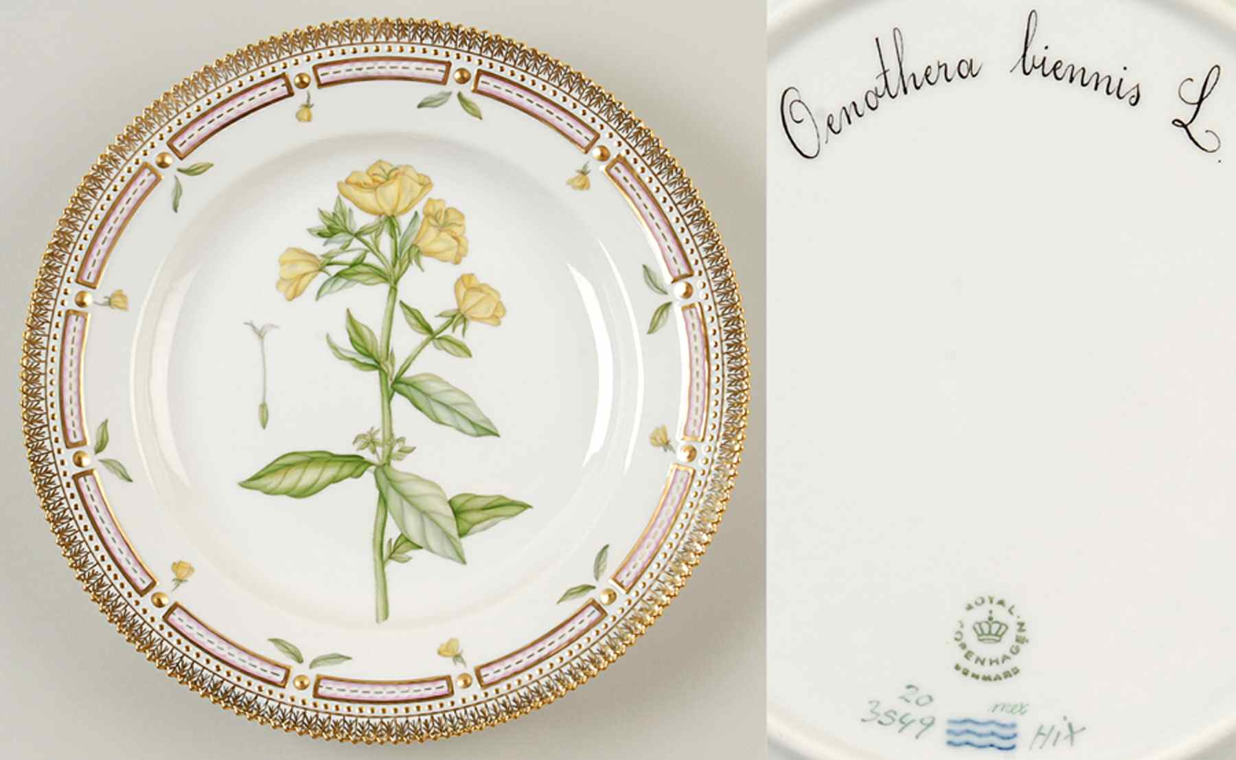 Flora Danica (1961 To Current) Dinner Plate-Oenothera biennis L by Royal Copenhagen-1