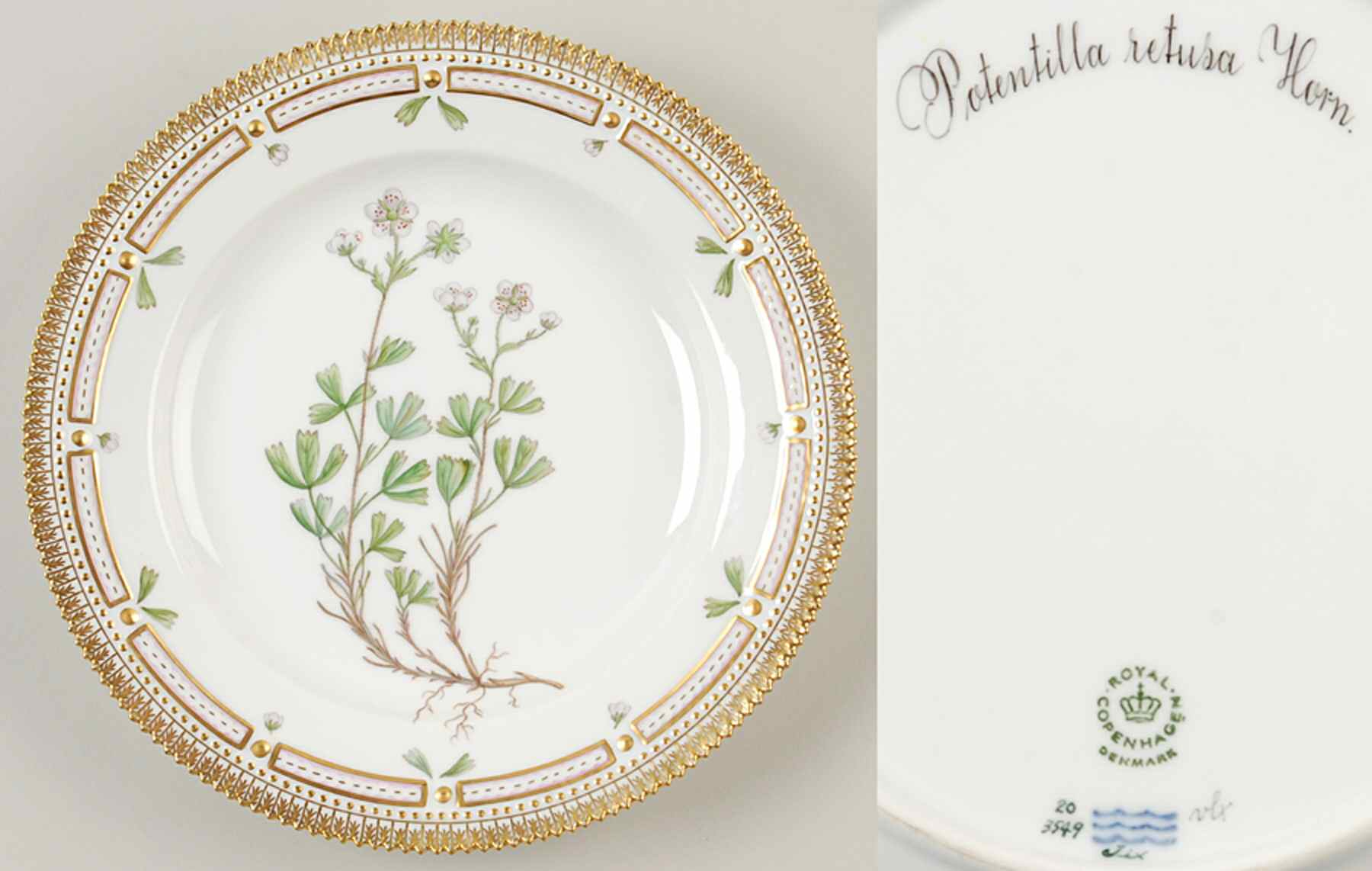 Flora Danica (1961 To Current) Dinner Plate-Potentilla retusa Horn. by Royal Copenhagen-1