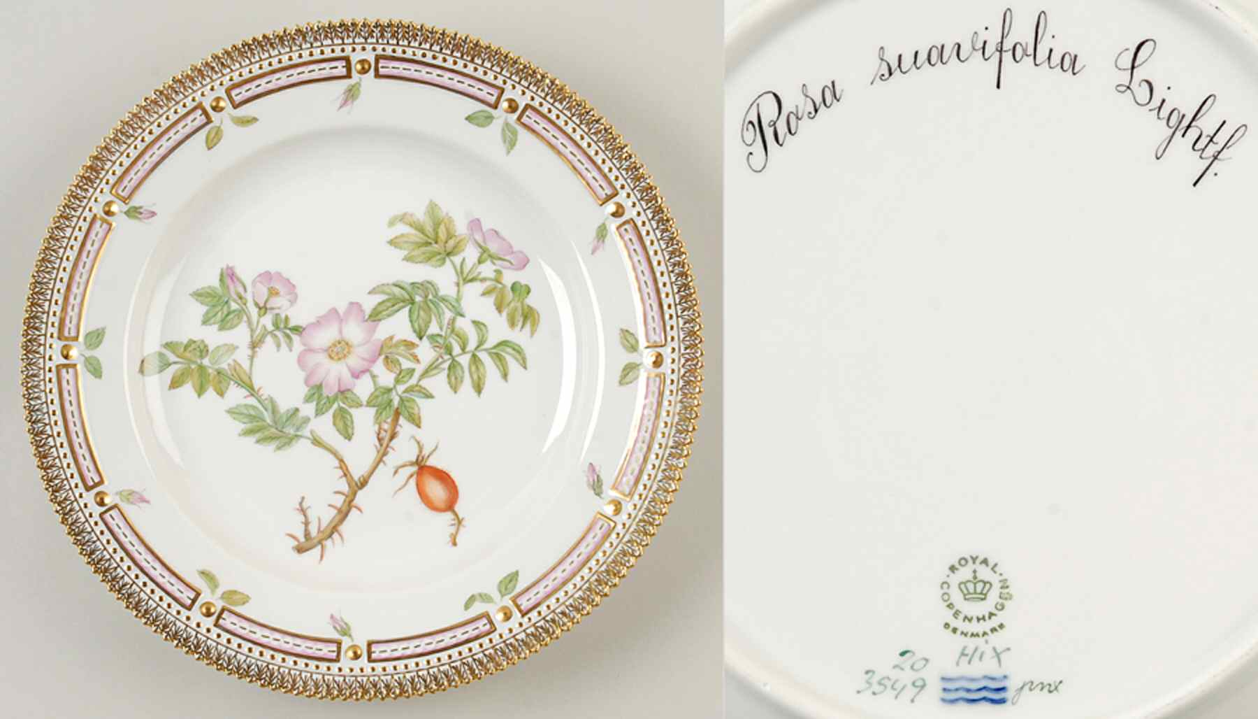 Flora Danica (1961 To Current) Dinner Plate-Rosa suavifolia Lighttf. by Royal Copenhagen-1