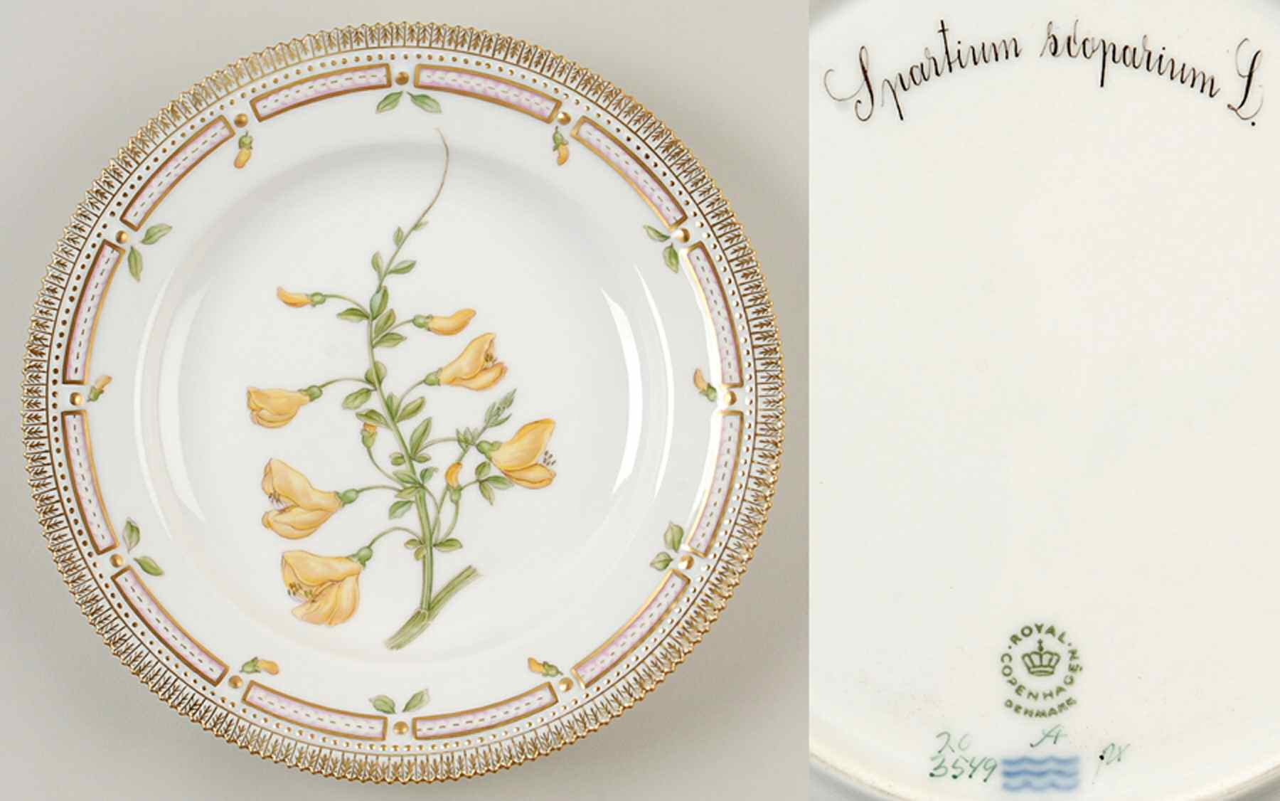 Flora Danica (1961 To Current) Dinner Plate-Spartium scoparium L by Royal Copenhagen-1