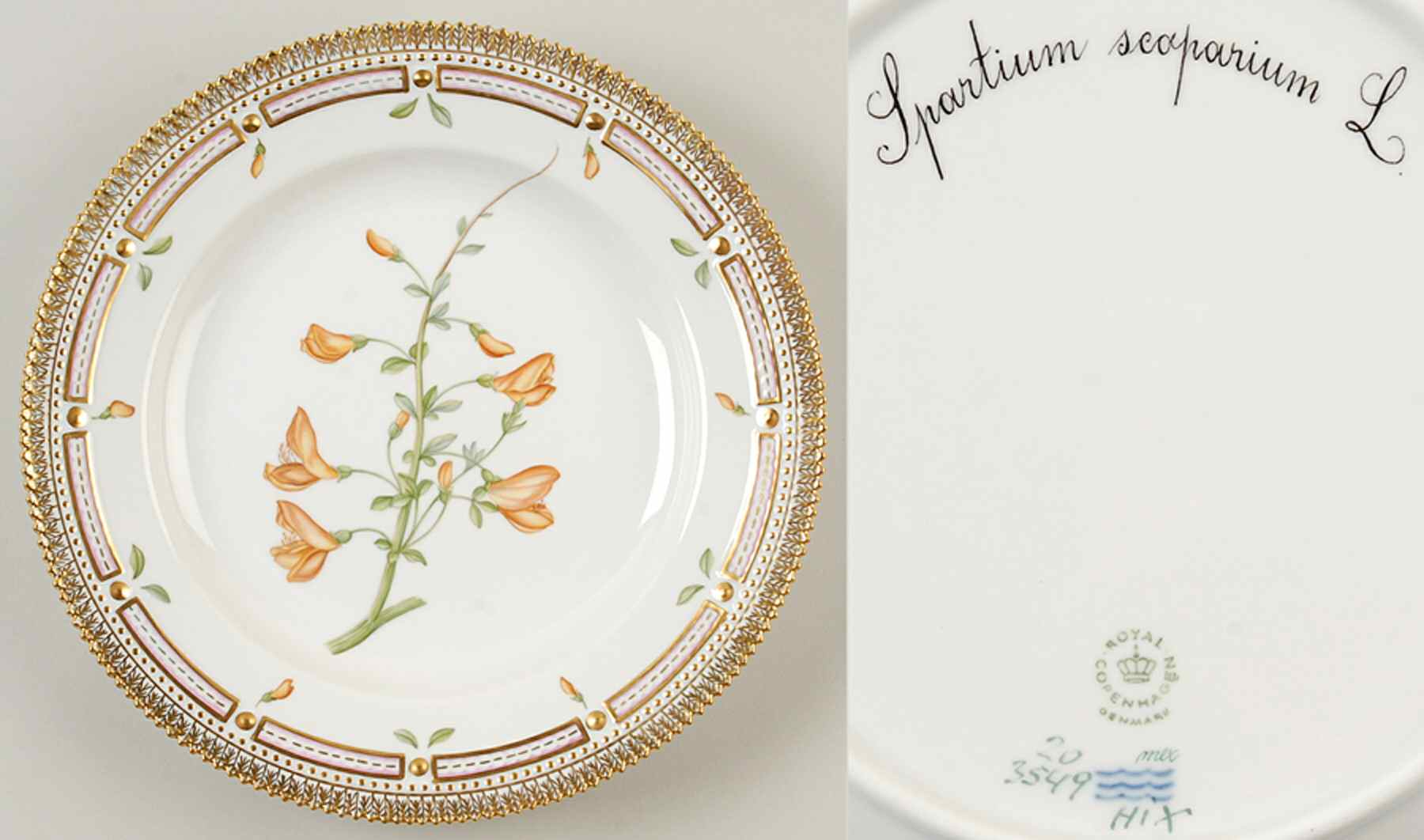 Flora Danica (1961 To Current) Dinner Plate-Spartium scoparium L by Royal Copenhagen-1