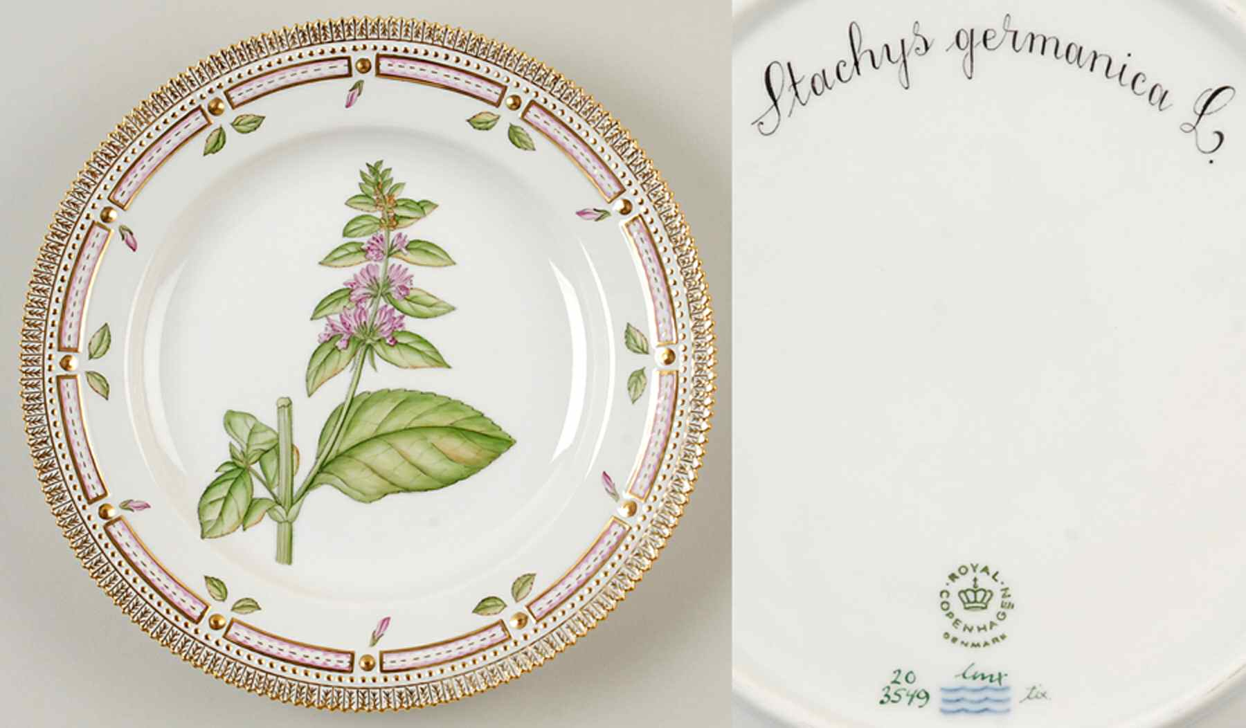Flora Danica (1961 To Current) Dinner Plate-Stachys germanica L. by Royal Copenhagen-1