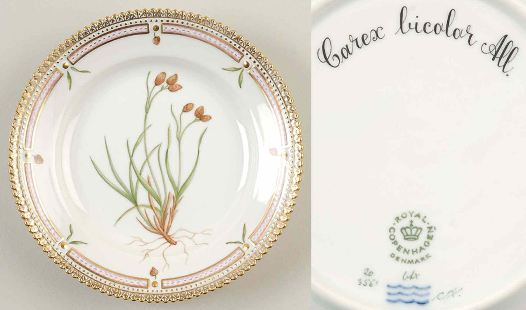 Flora Danica (1961 To Current) Dessert/Pie Plate-Carex bicolor All. by Royal Copenhagen-1