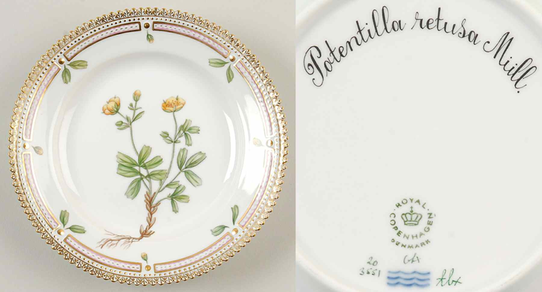 Flora Danica (1961 To Current) Dessert/Pie Plate-Potentilla retusa Miill by Royal Copenhagen-1