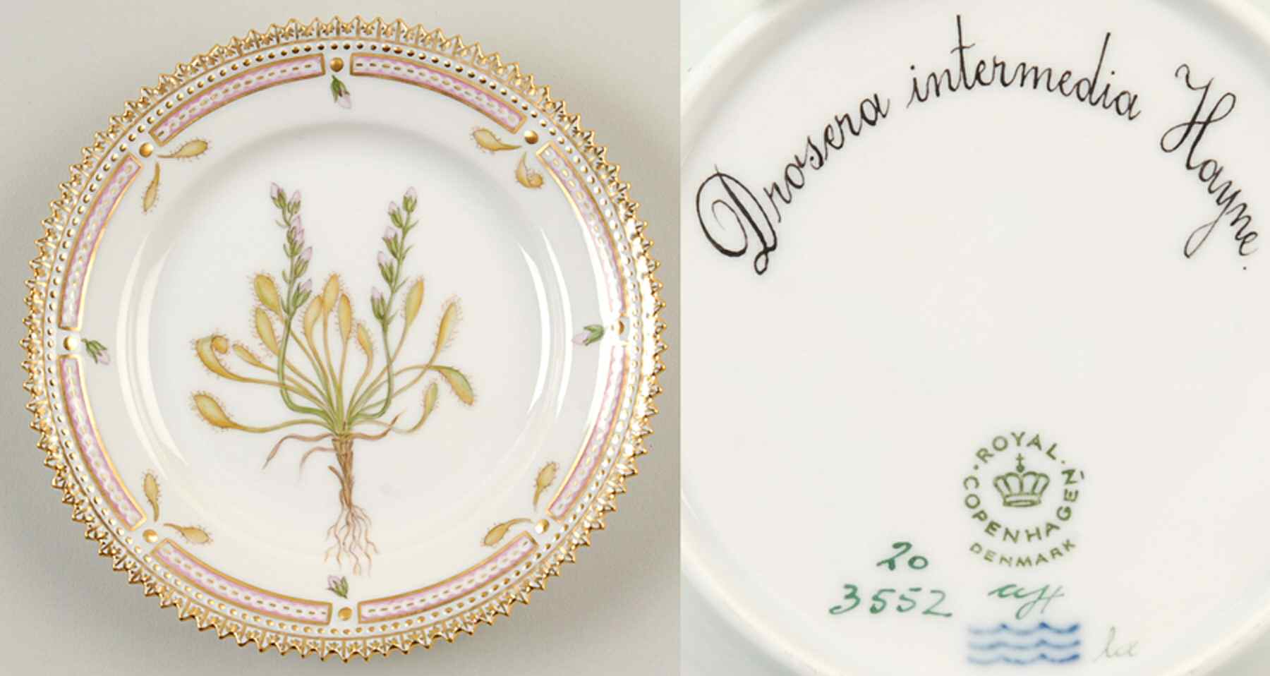 Flora Danica (1961 To Current) Bread & Butter Plate-Drosera  intermedia Hayne by Royal Copenhagen-1