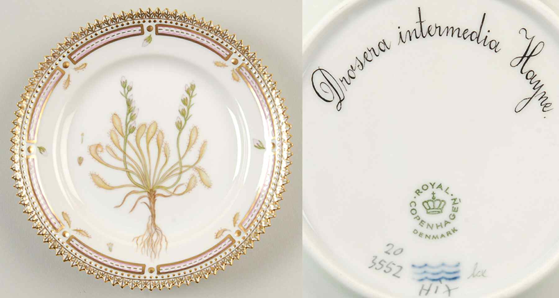 Flora Danica (1961 To Current) Bread & Butter Plate-Drosera  intermedia Hayne by Royal Copenhagen-1