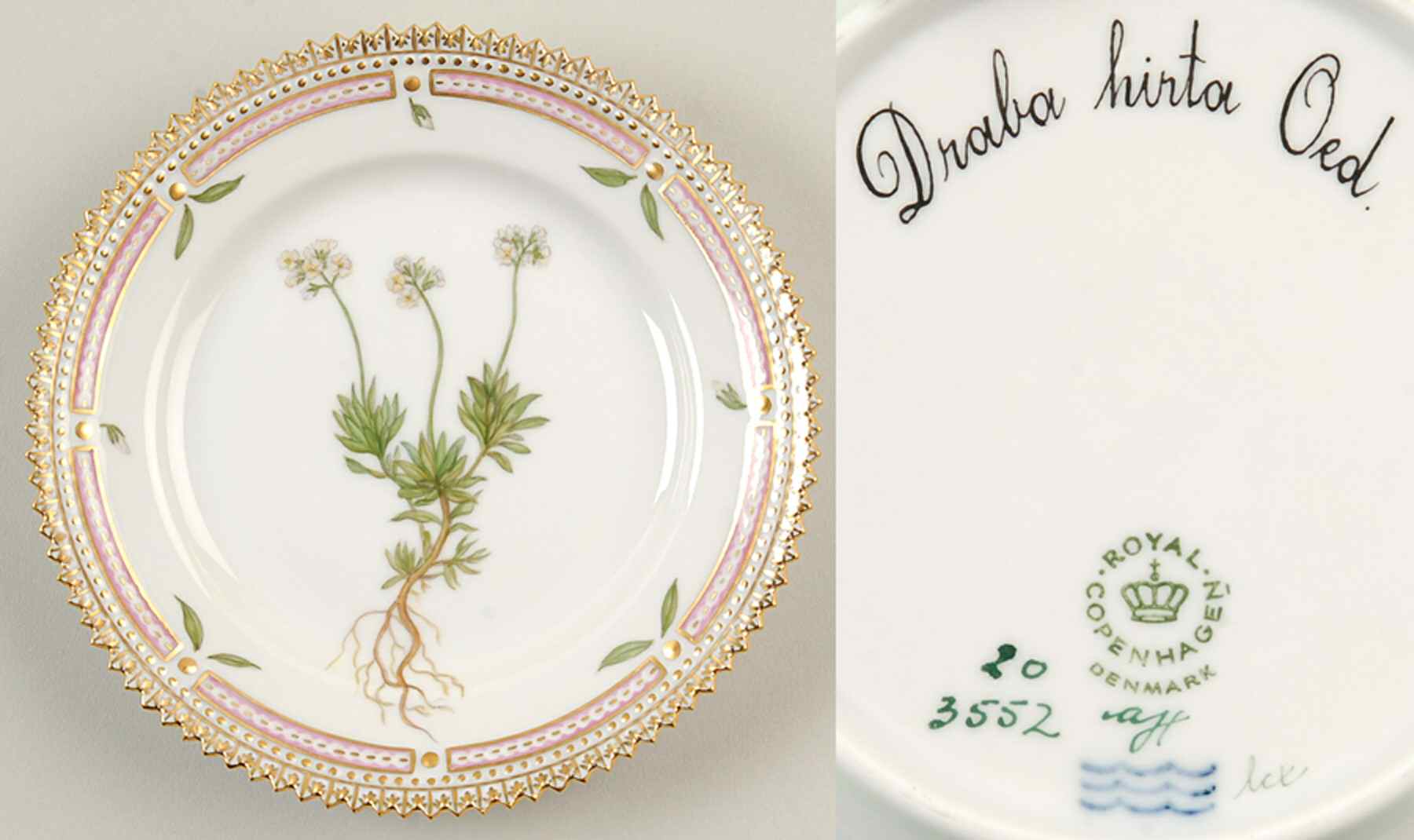 Flora Danica (1961 To Current) Bread & Butter Plate-Draba hirta Oed. by Royal Copenhagen-1