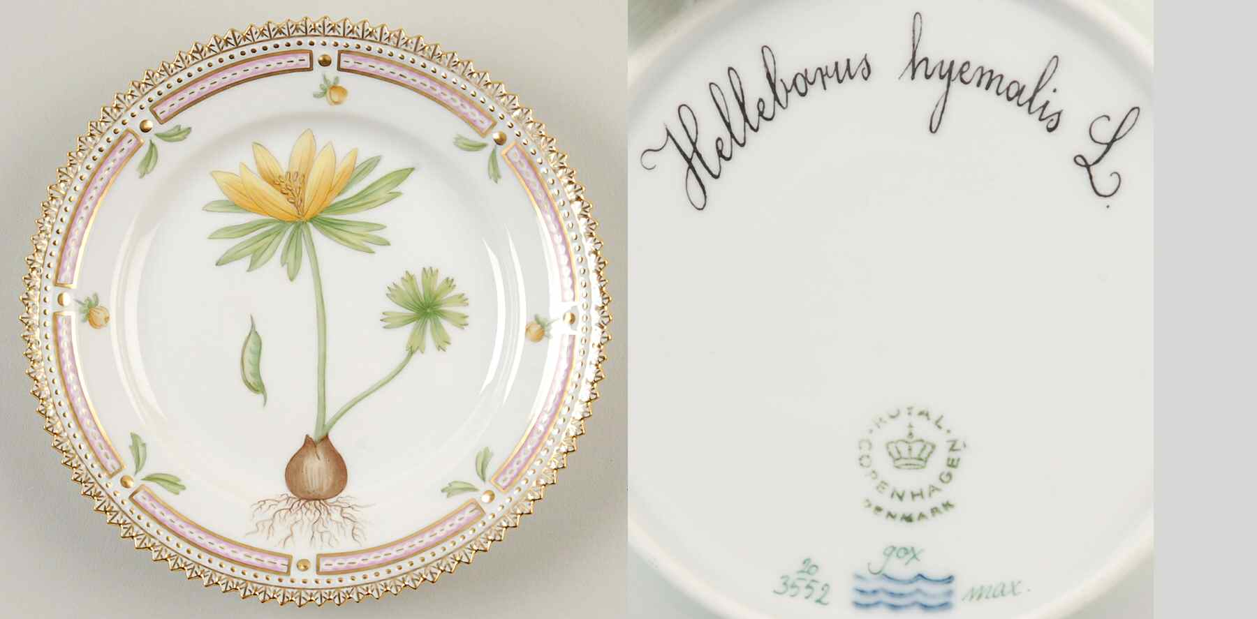 Flora Danica (1961 To Current) Bread & Butter Plate-Hellebarus hyemalis L. by Royal Copenhagen-1