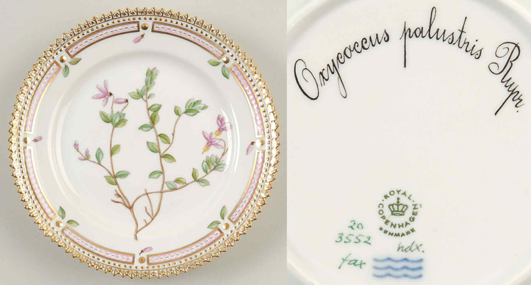Flora Danica (1961 To Current) Bread & Butter Plate-Oxyeoccus palustris Rupr. by Royal Copenhagen-1