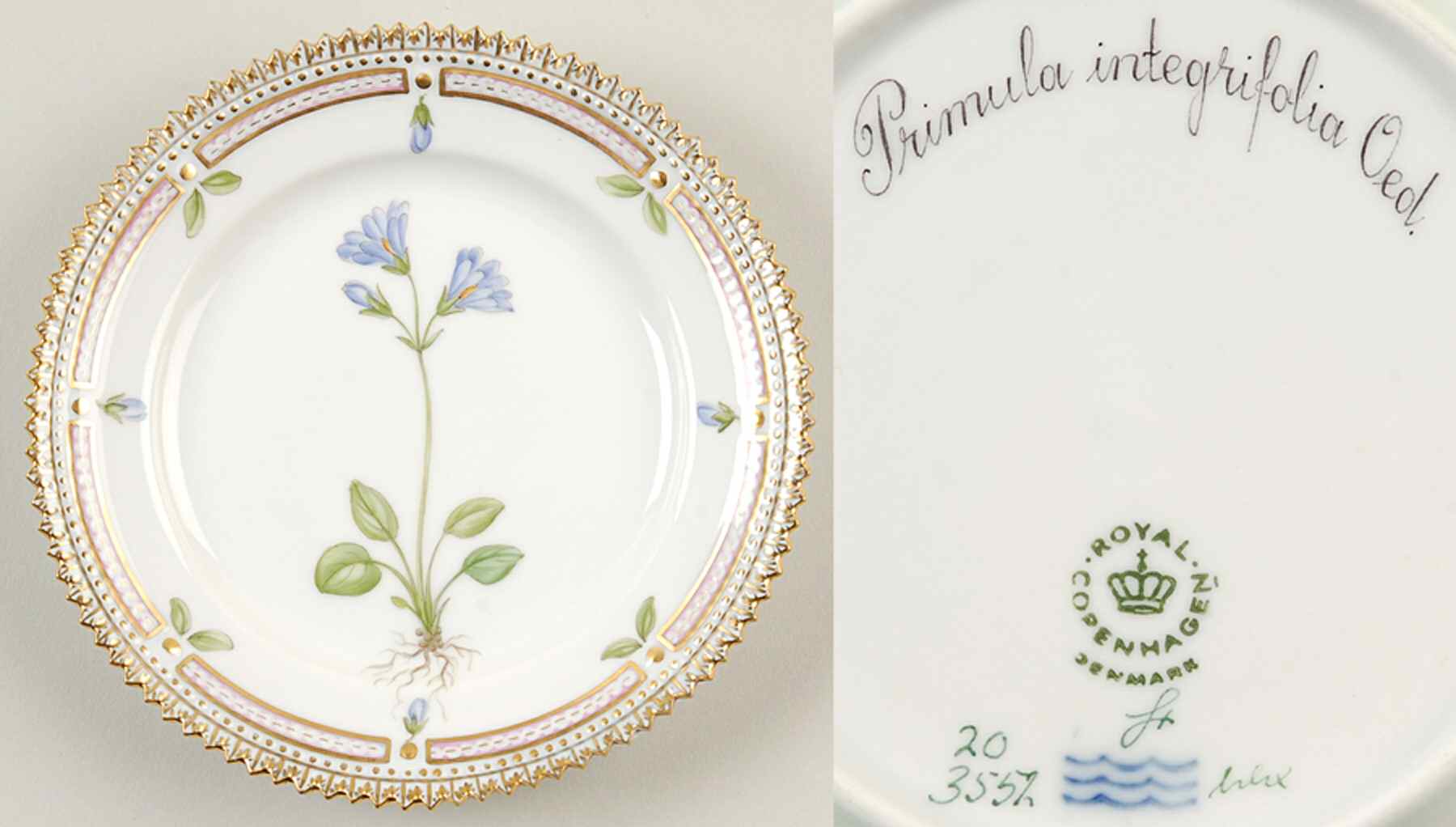 Flora Danica (1961 To Current) Bread & Butter Plate-Primula integrifolia Oed. by Royal Copenhagen-1