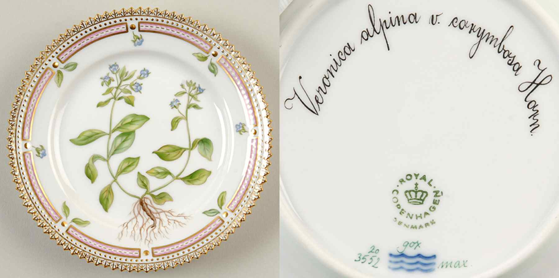 Flora Danica (1961 To Current) Bread & Butter Plate-Veronica alpina v carymbosa H by Royal Copenhagen-1
