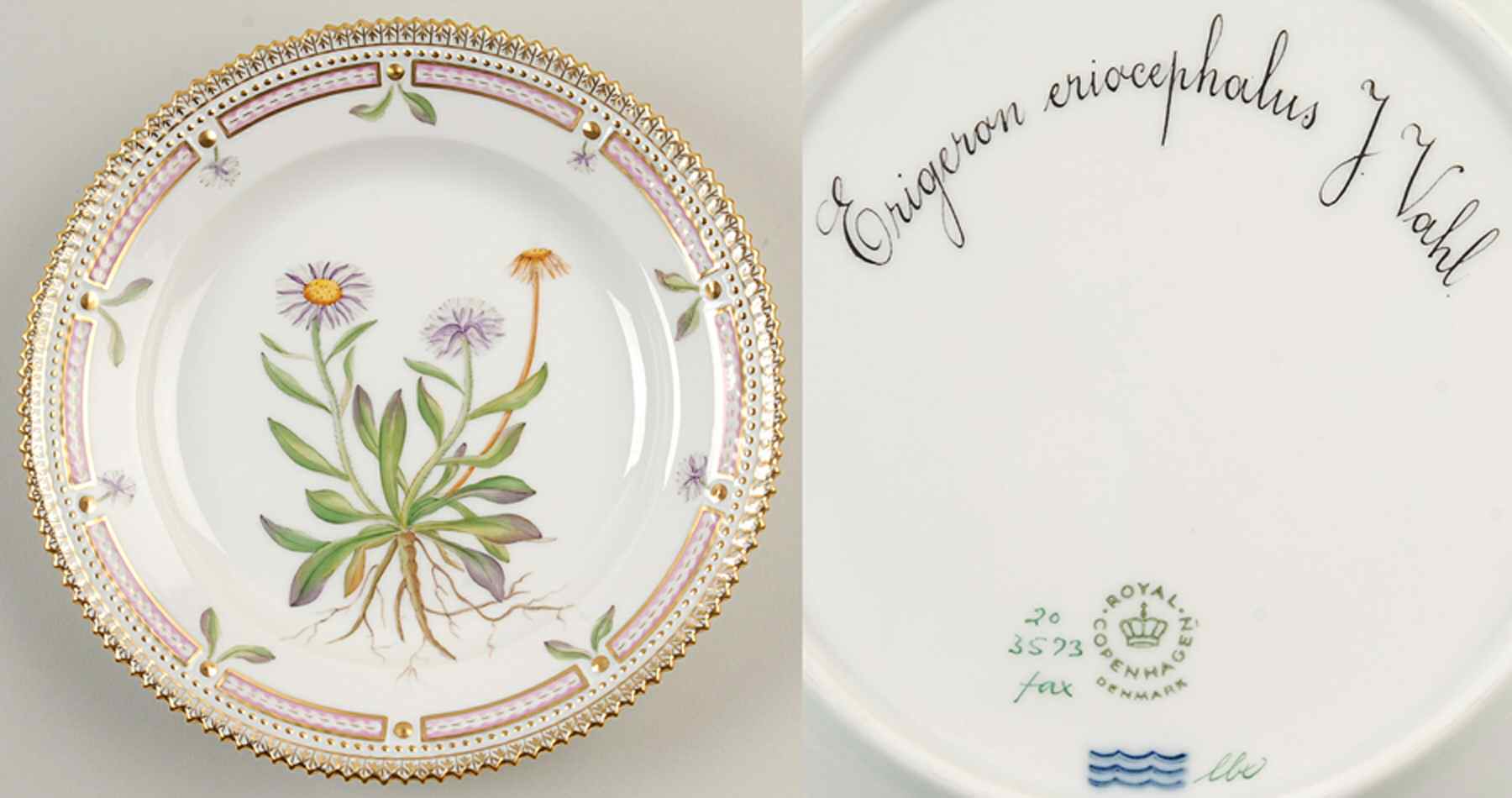 Flora Danica (1961 To Current) Salad Plate-Erigeron eriocephalus J Vahl by Royal Copenhagen-1