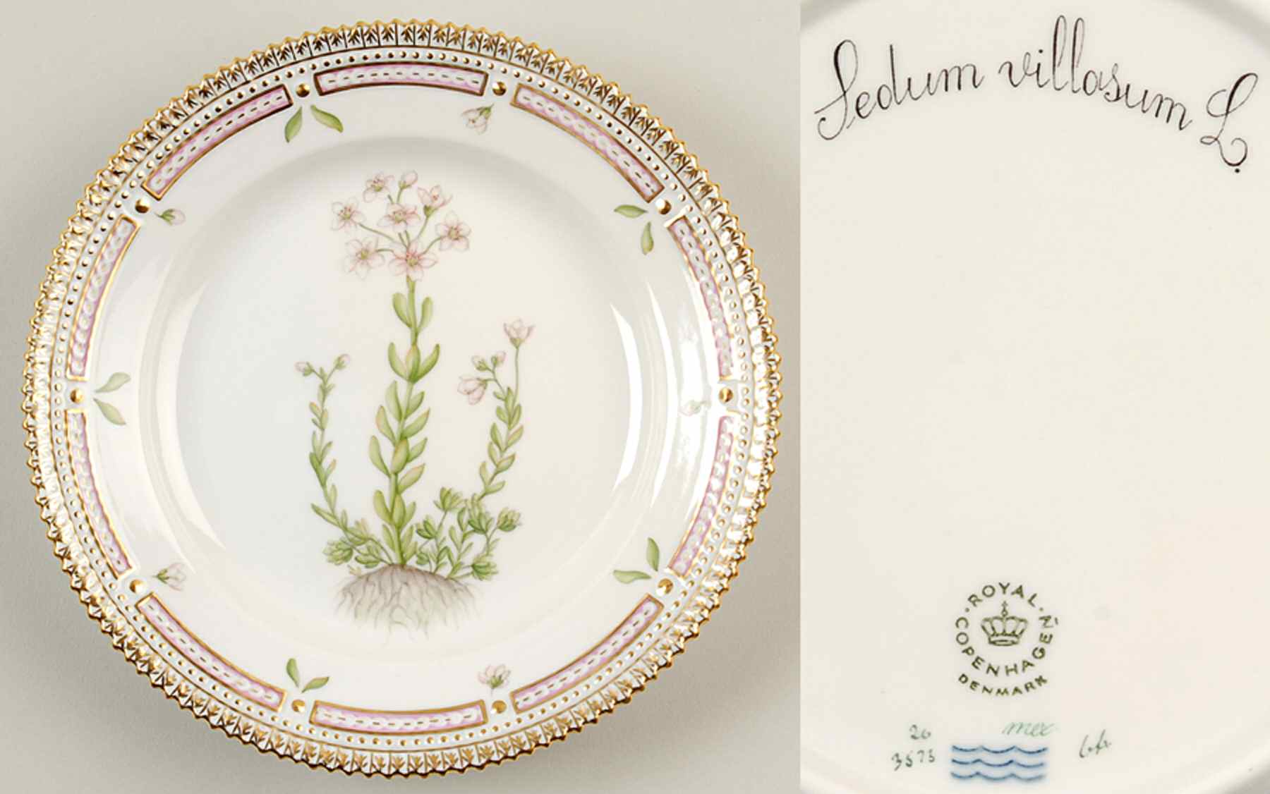 Flora Danica (1961 To Current) Salad Plate-Sedum villosum L. by Royal Copenhagen-1