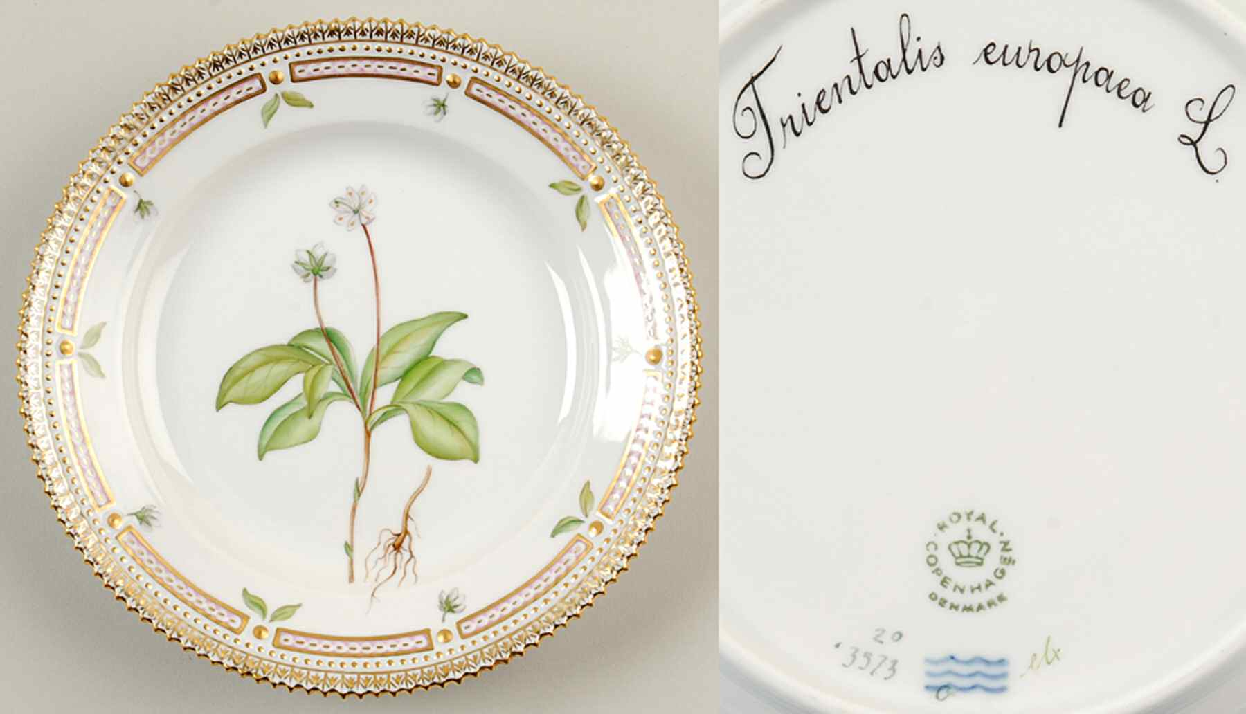 Flora Danica (1961 To Current) Salad Plate-Trientalis europaea L by Royal Copenhagen-1