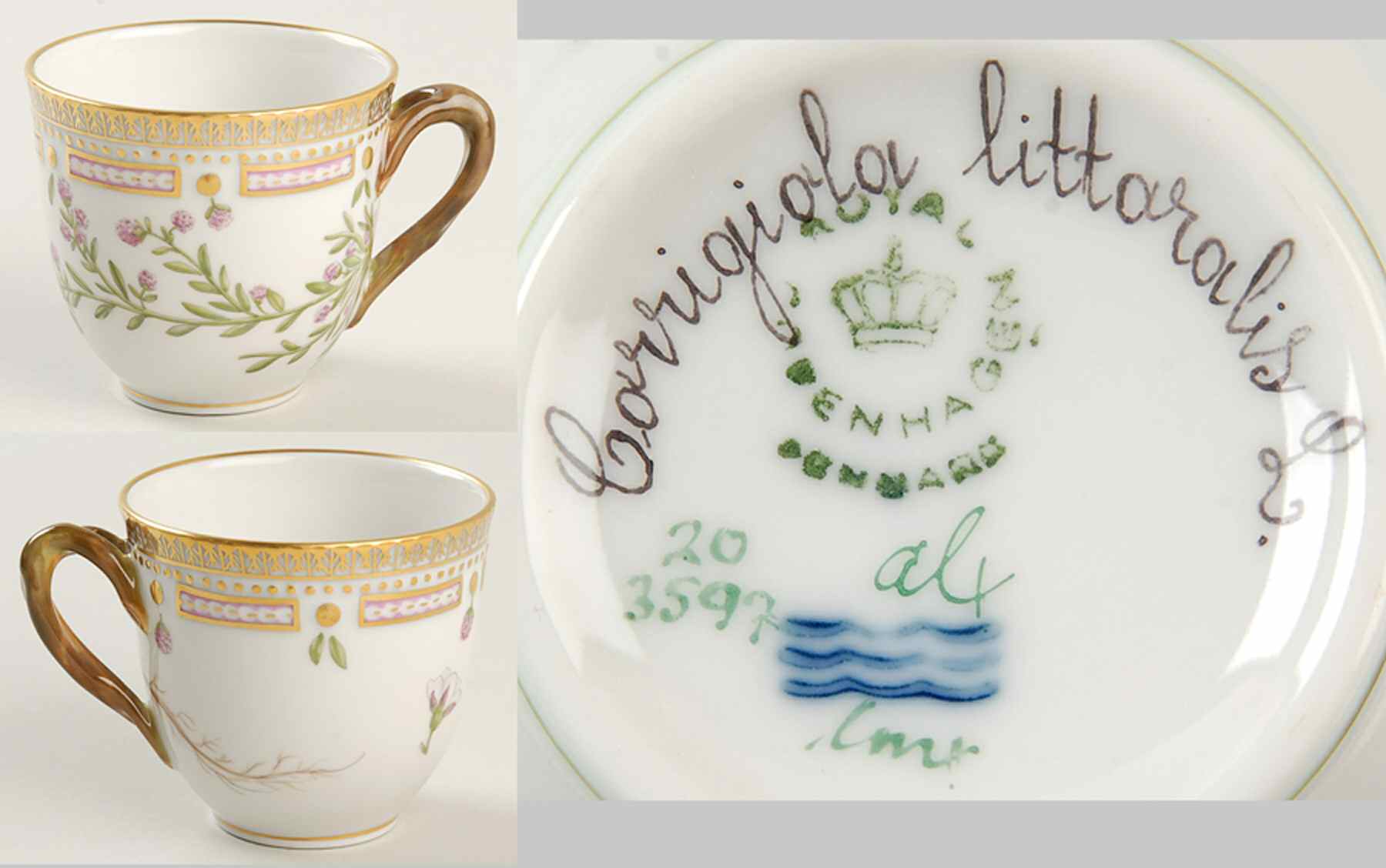 Flora Danica (1961 To Current) Flat Cup-Corrigiola littaralis L. by Royal Copenhagen-1