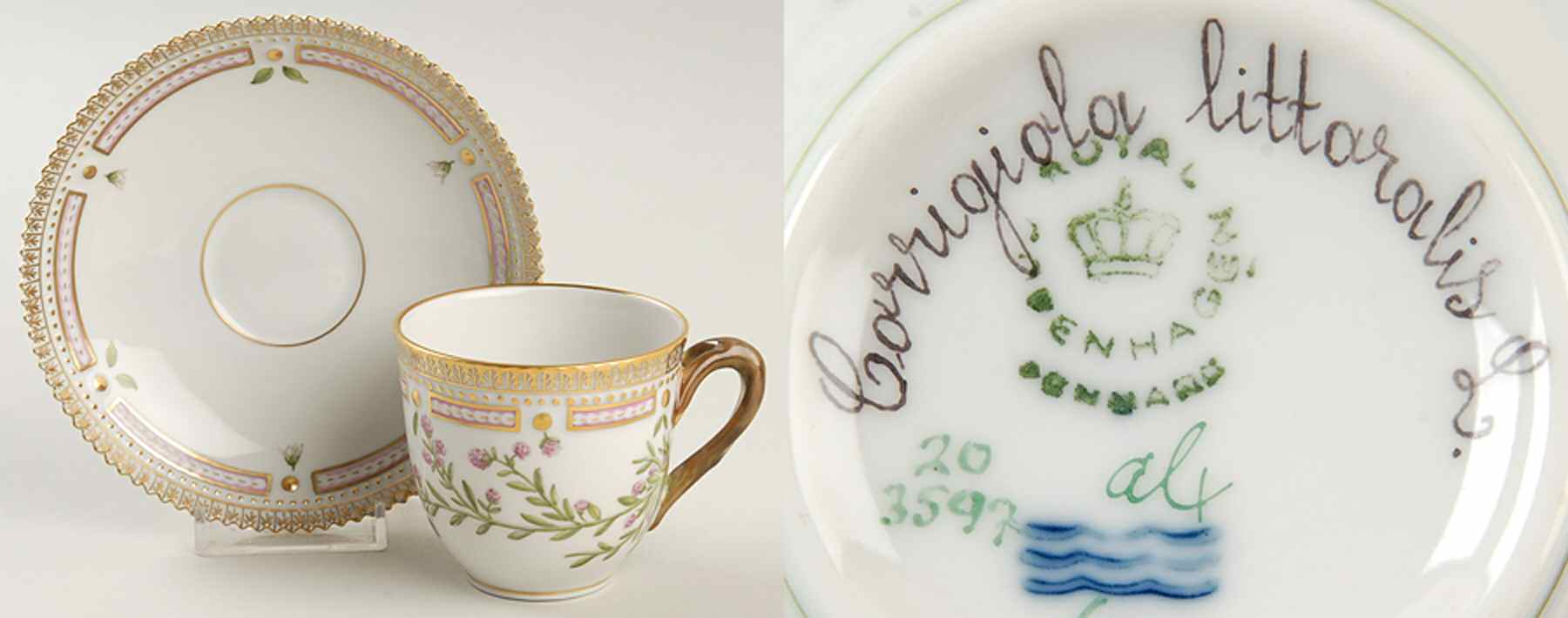 Flora Danica (1961 To Current) Flat Cup & Saucer Set-Corrigiola littaralis L. by Royal Copenhagen-1