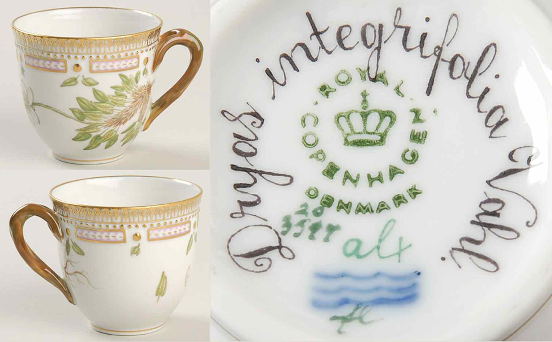 Flora Danica (1961 To Current) Flat Cup-Dryas integriolia Vahl. by Royal Copenhagen-1