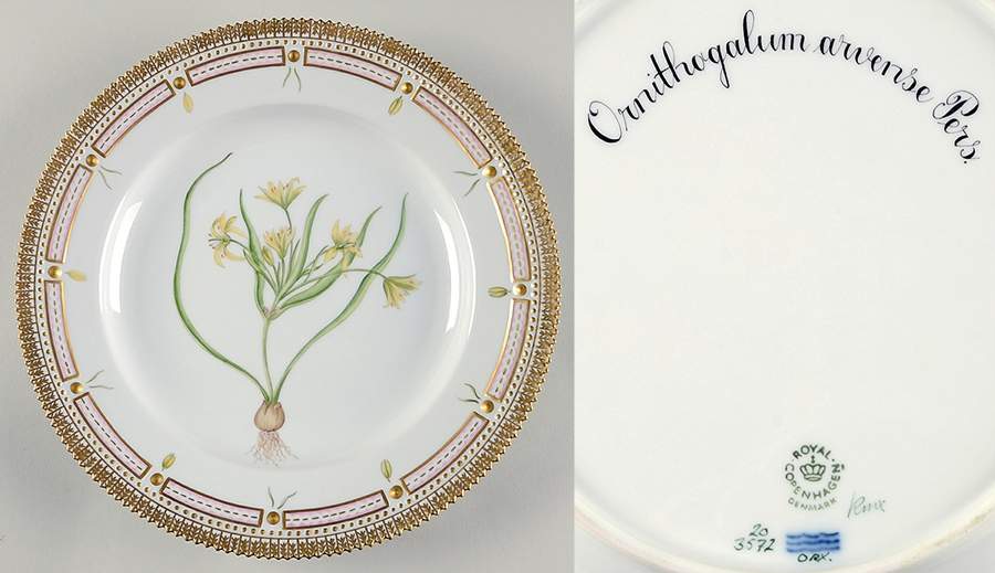 Flora Danica (1961 To Current) Dinner Plate-Ornithogalum arvense Pers. by Royal Copenhagen-1