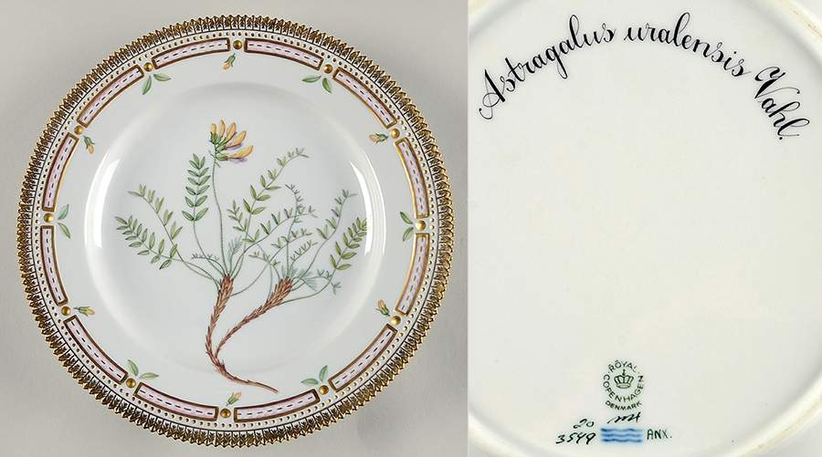 Flora Danica (1961 To Current) Dinner Plate-Astragalus uralensis Vahl by Royal Copenhagen-1