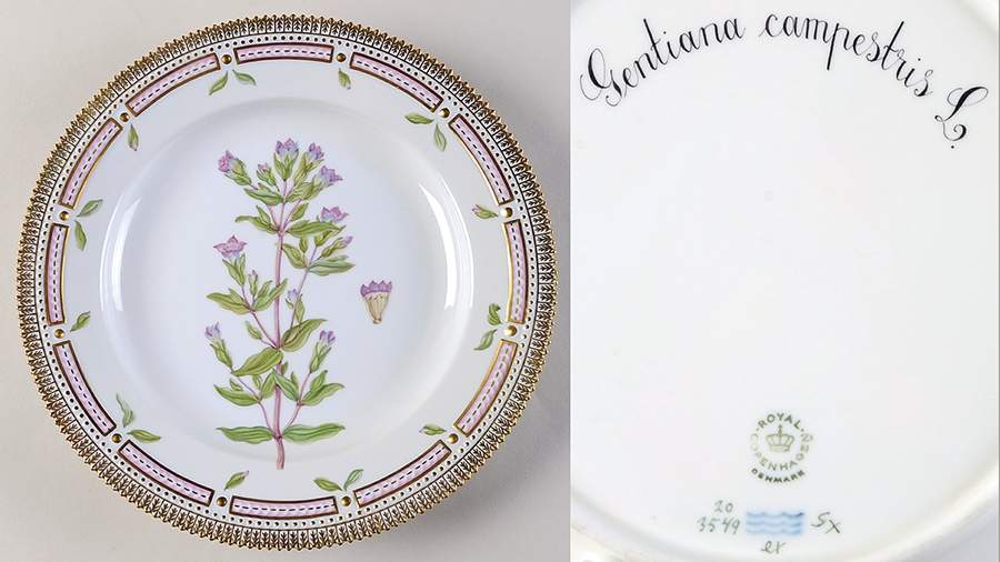 Flora Danica (1961 To Current) Dinner Plate-Gentiana campestris L by Royal Copenhagen-1