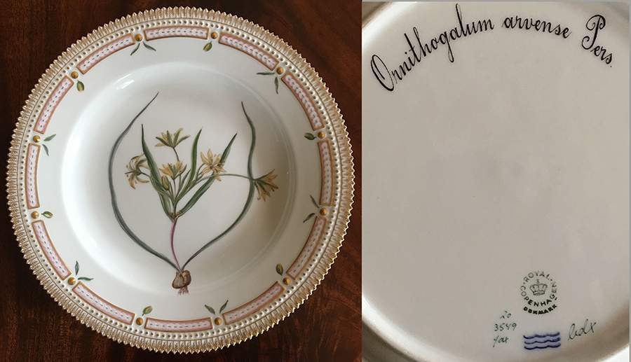 Flora Danica (1961 To Current) Dinner Plate-Ornithogalum arvense Pers by Royal Copenhagen-1