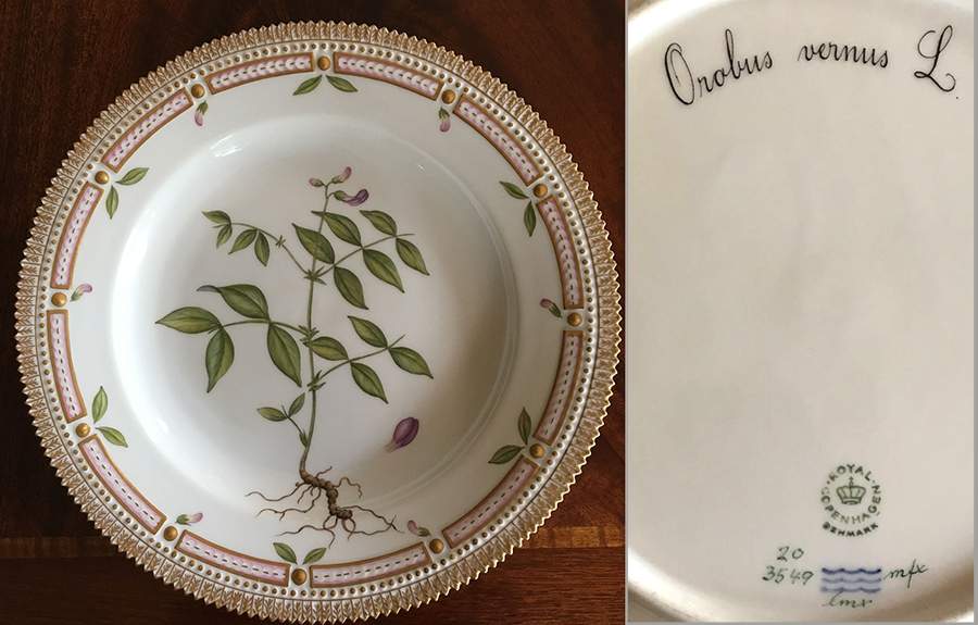 Flora Danica (1961 To Current) Dinner Plate-Orobus vernus L by Royal Copenhagen-1