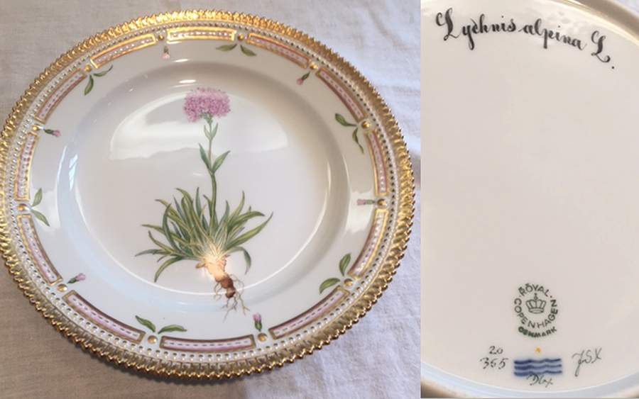 Flora Danica (1961 To Current) Luncheon Plate-Lychnis alpina L by Royal Copenhagen-1