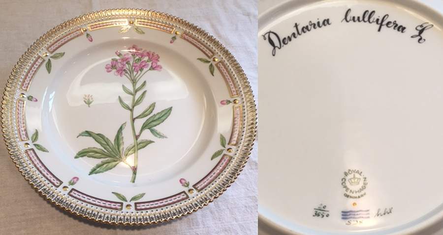 Flora Danica (1961 To Current) Luncheon Plate-Dentaria bulbidera L by Royal Copenhagen-1