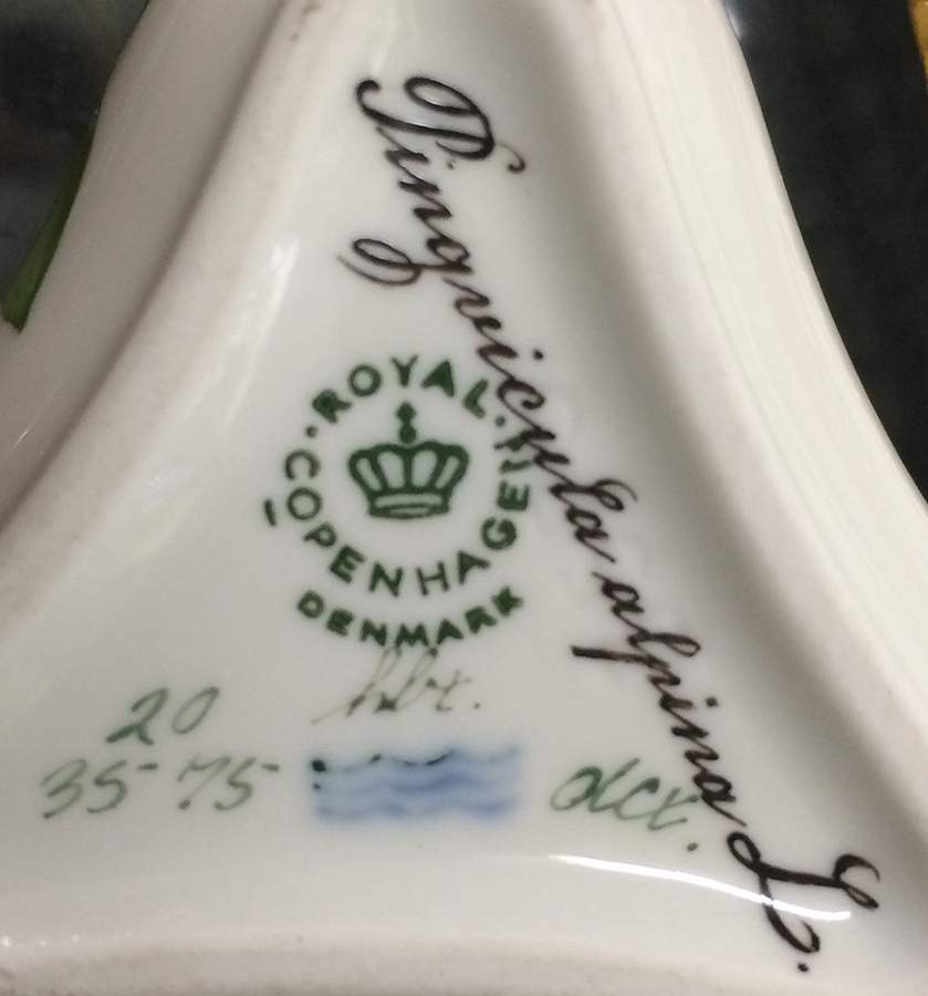 Flora Danica (1961 To Current) Triangular Custard Cup-Pingvicula alpina L. by Royal Copenhagen-1