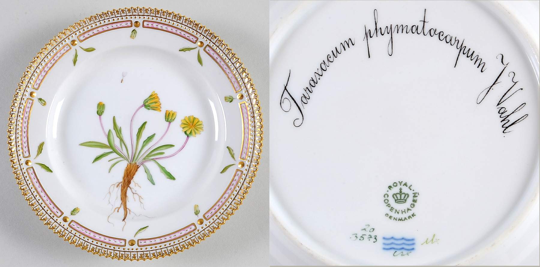 Flora Danica (1961 To Current) Salad Plate-Taraxacum phymatocarpum J Vahl by Royal Copenhagen-1