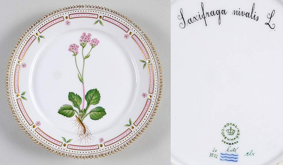 Flora Danica (1961 To Current) Luncheon Plate-Saxifraga nivalis L. by Royal Copenhagen-1